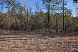7884 Winnsboro Road  photo 4