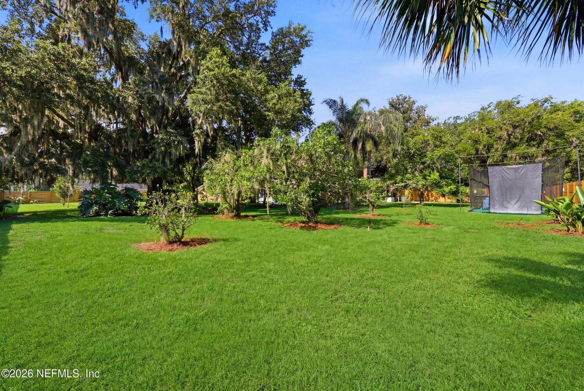 11627 Mandarin Terr Road, Jacksonville, FL 32223 Photo