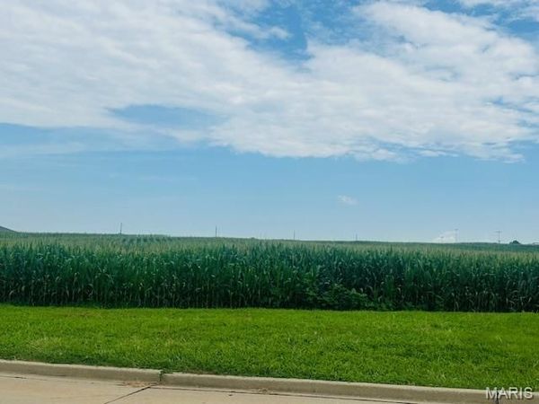 Lot 14 Columbia Ave , Waterloo, IL 62298