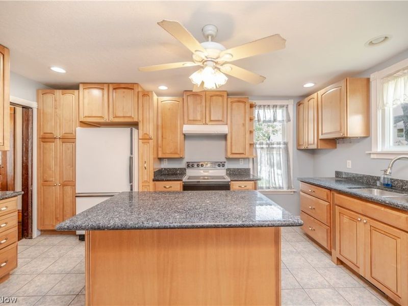 266 W Martin Street, East Palestine, OH 44413 Photo 7