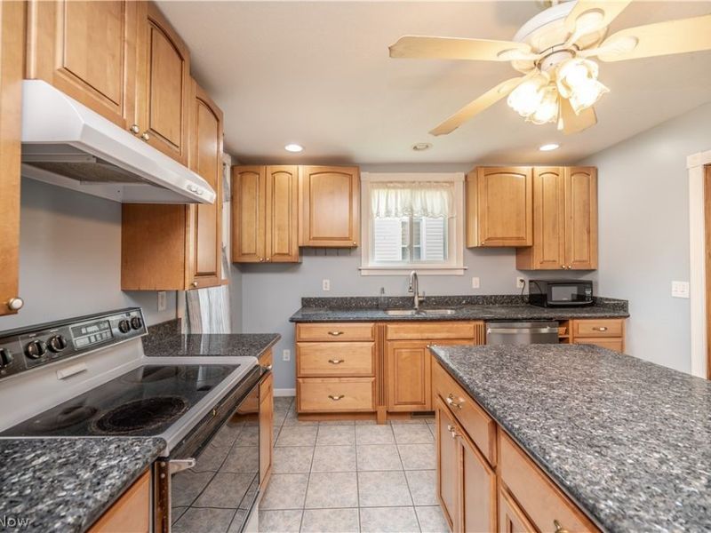 266 W Martin Street, East Palestine, OH 44413 Photo 9