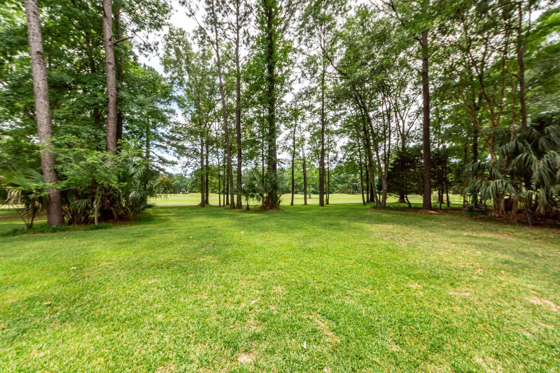 2105 Williams Veneer Court Photo 79