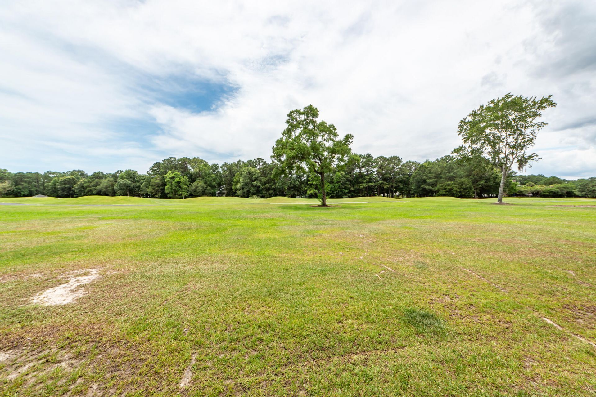 2105 Williams Veneer Court Photo 82