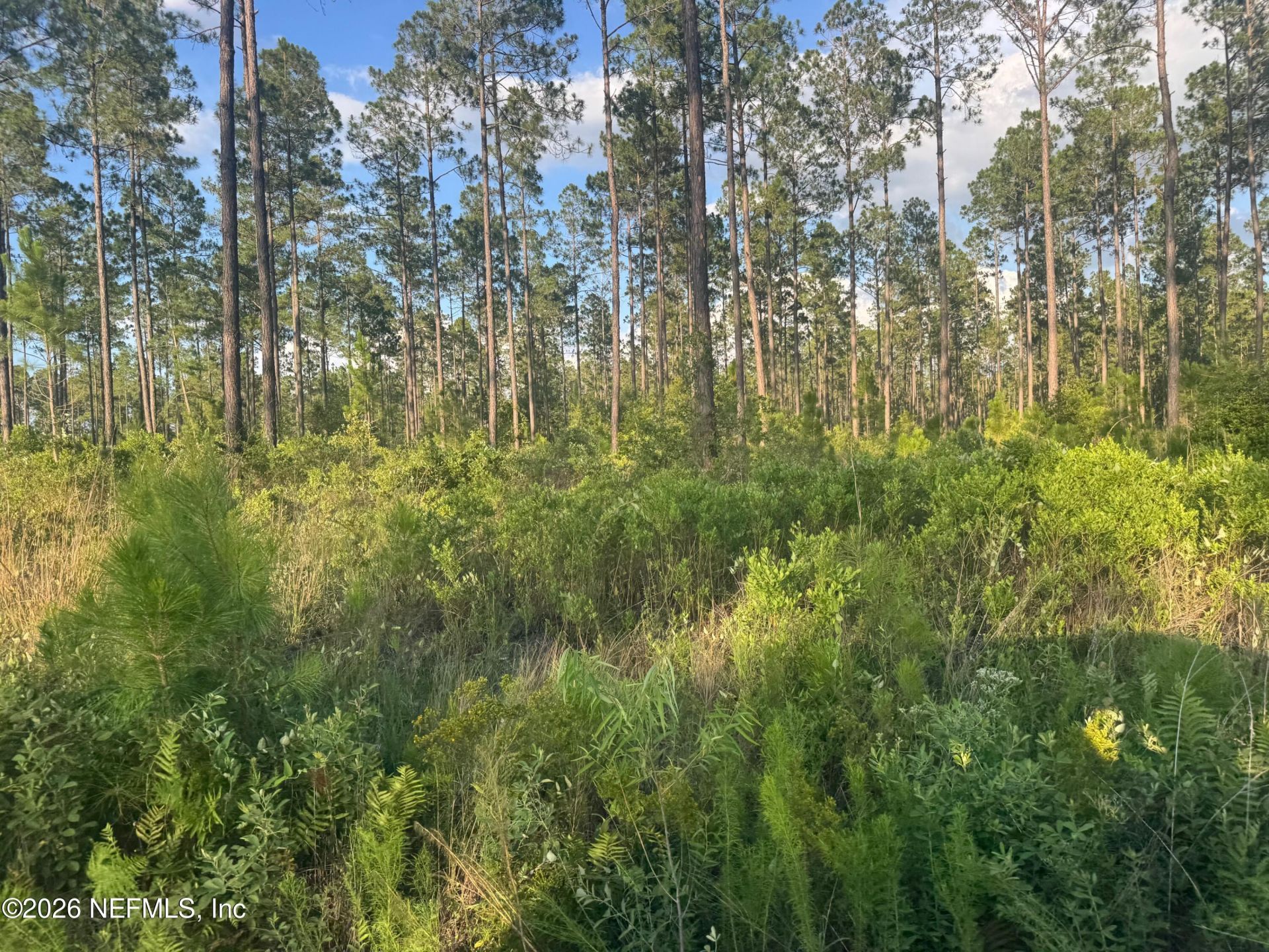 Tbd NW Co Rd 235, Lake Butler, FL 32054 Photo