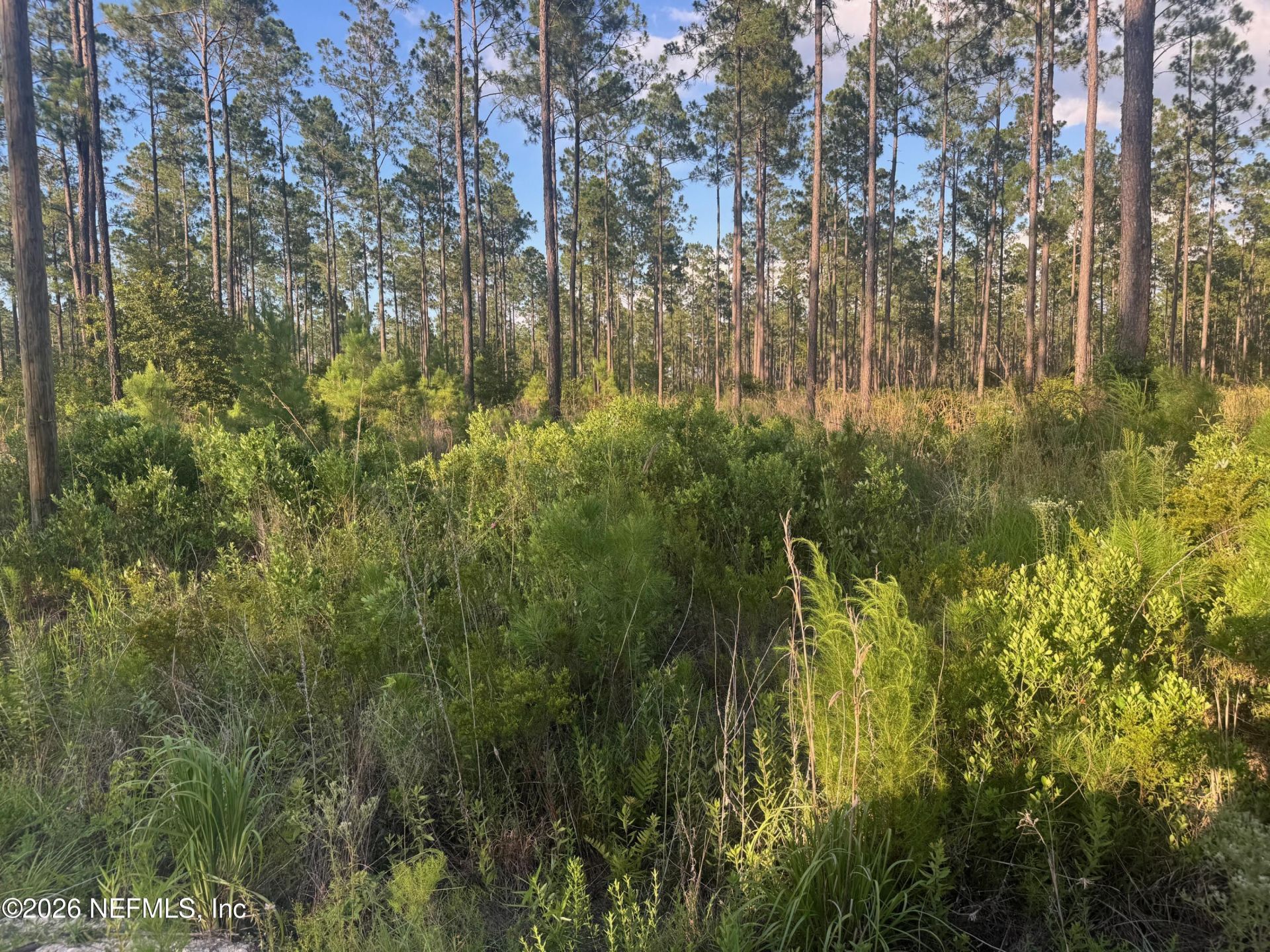 Tbd NW Co Rd 235, Lake Butler, FL 32054 Photo