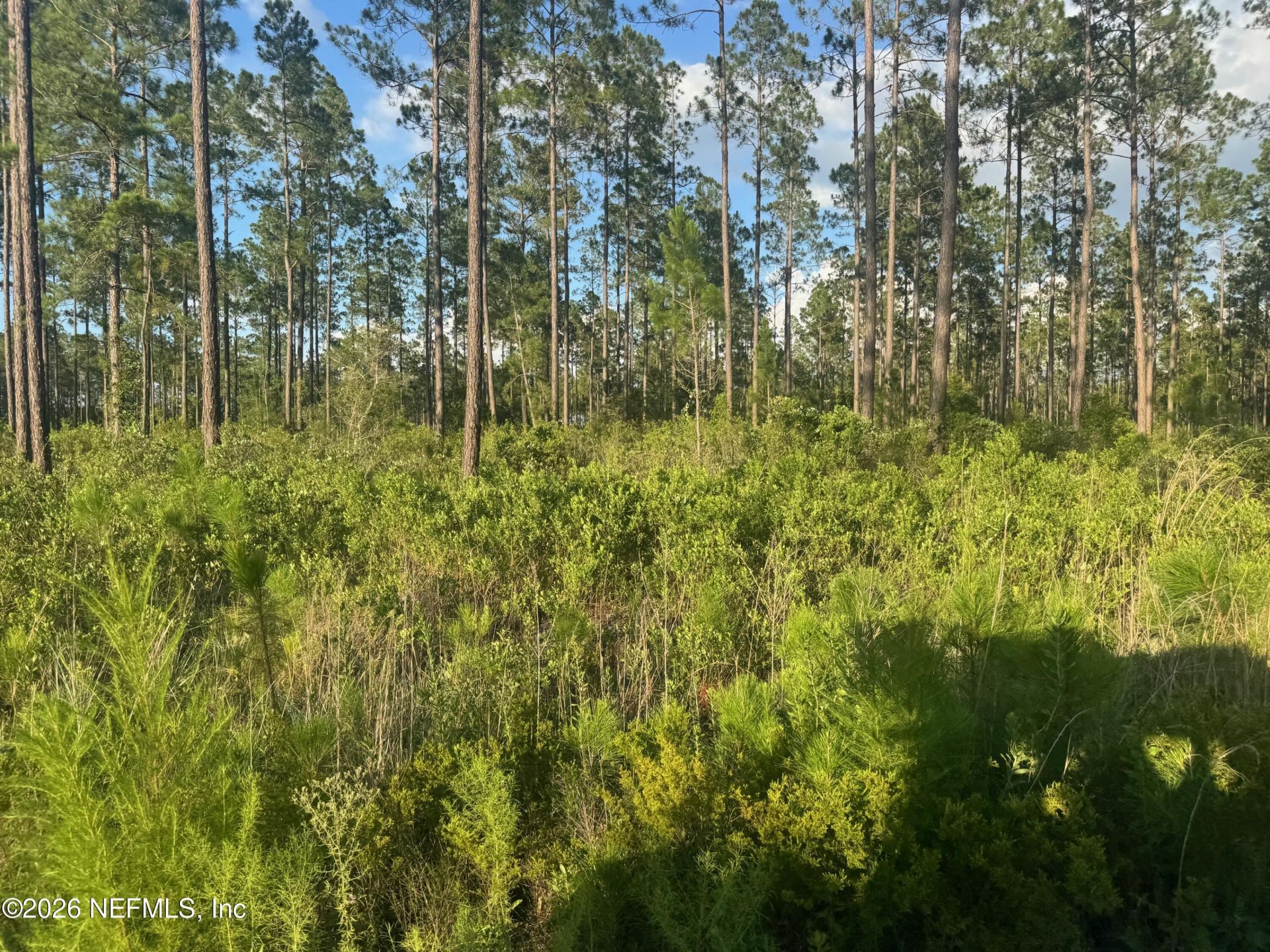 Tbd NW Co Rd 235, Lake Butler, FL 32054 Photo