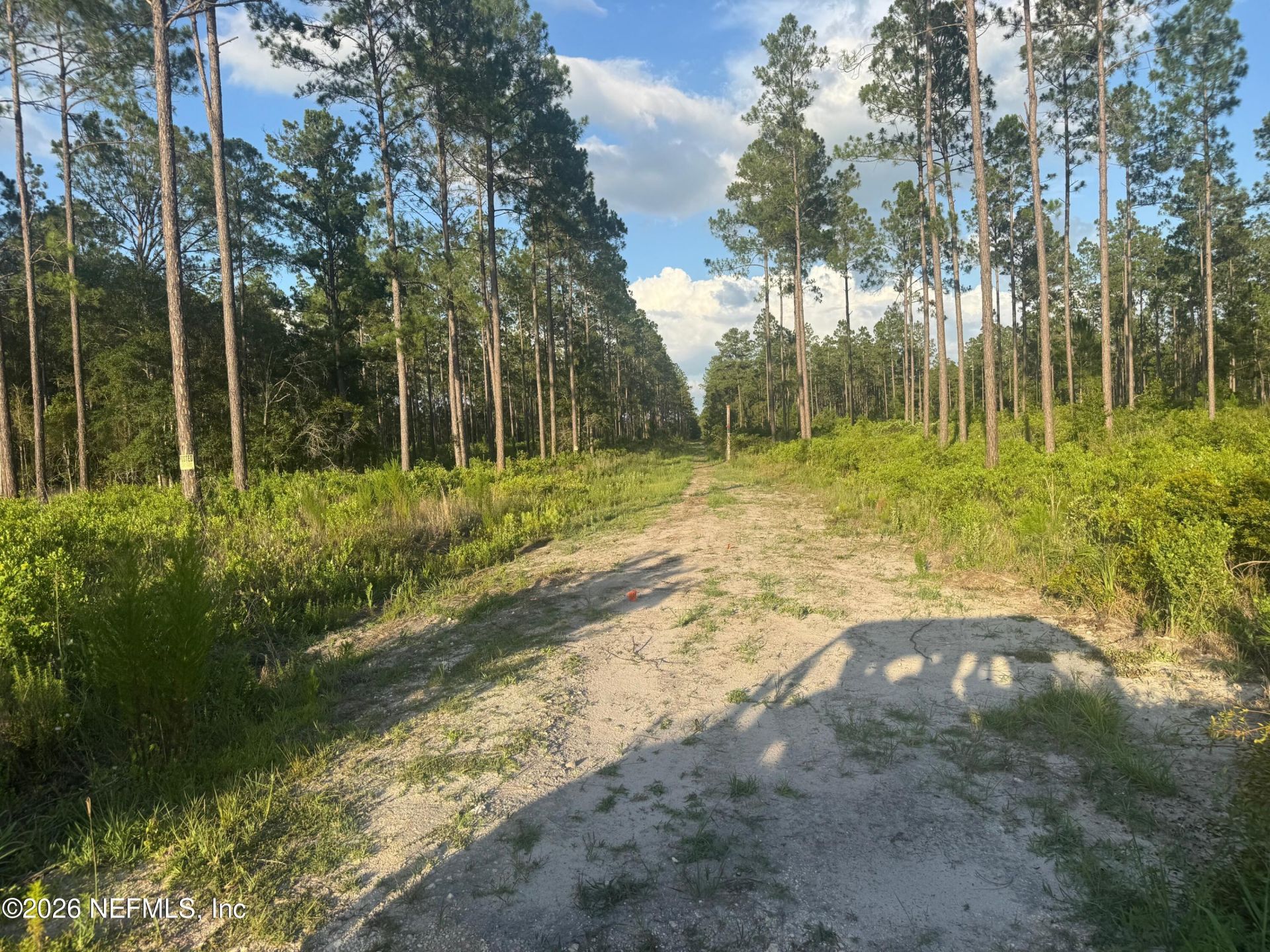 Tbd NW Co Rd 235, Lake Butler, FL 32054 Photo