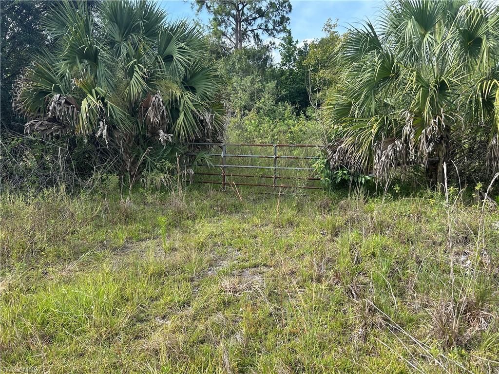 1020 Limpkin Rd , Naples, FL 34120 Photo