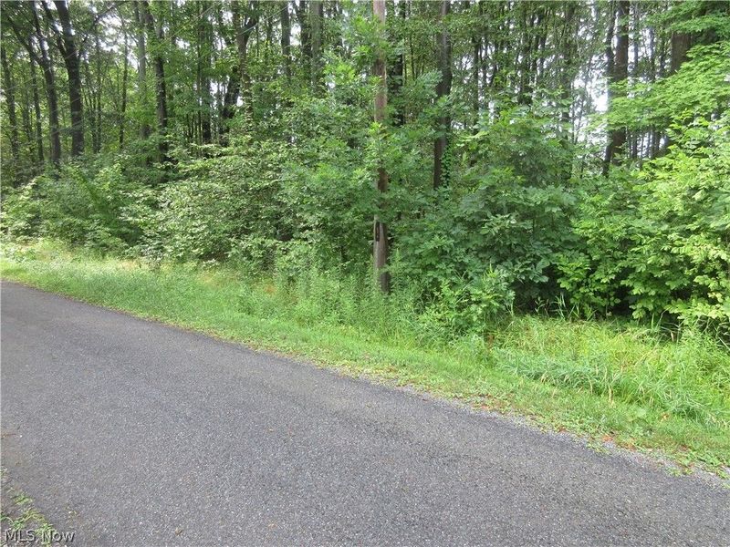4th Avenue, Andover, OH 44003 Photo 1