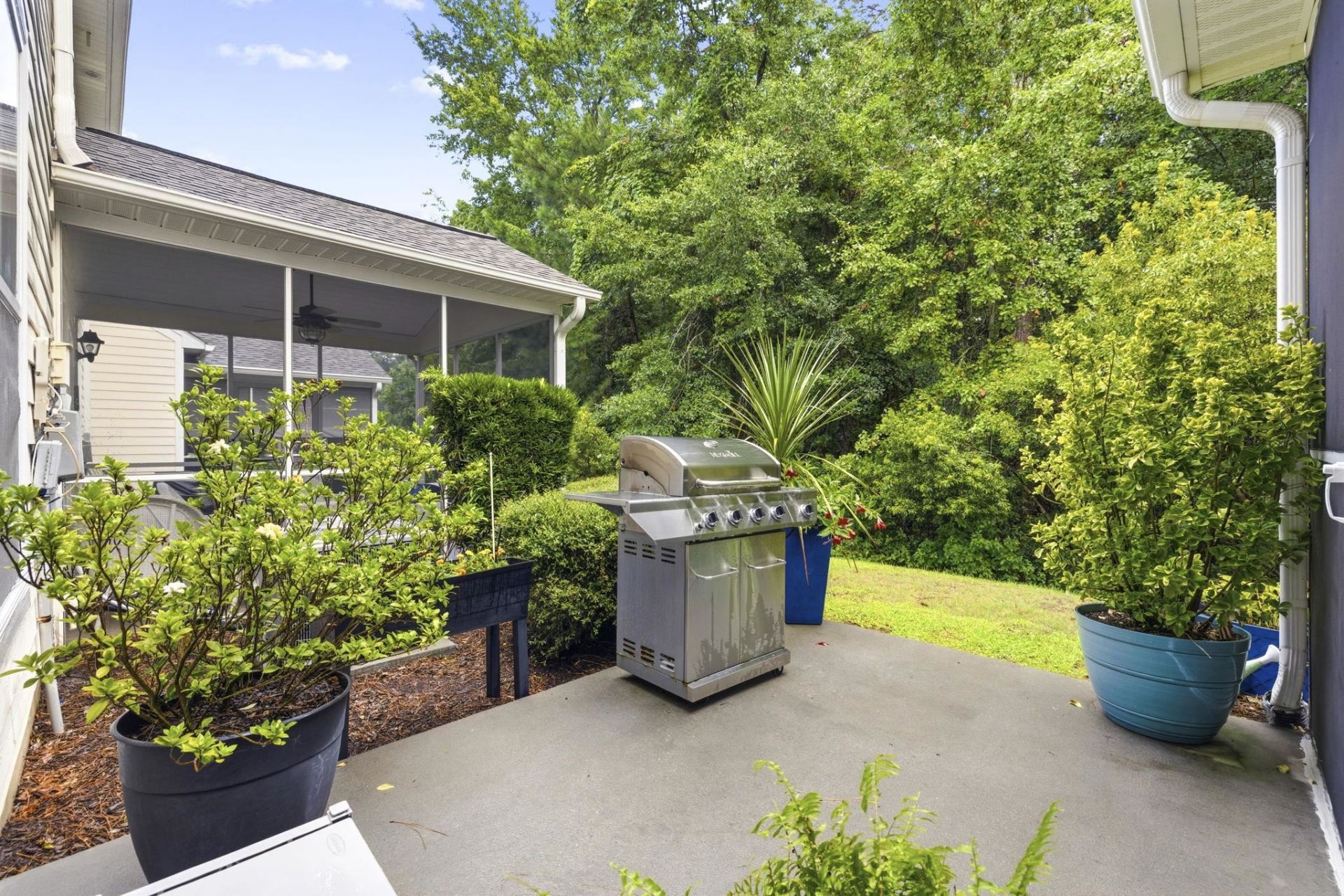 134 Coldstream Cove Loop Photo 4