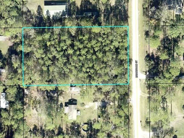 2828 BRIARWOOD STREET , BUNNELL, FL 32110