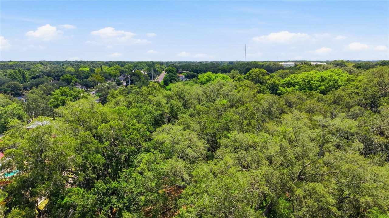 11211 Clay Pit Road , Seffner, FL 33584 Photo