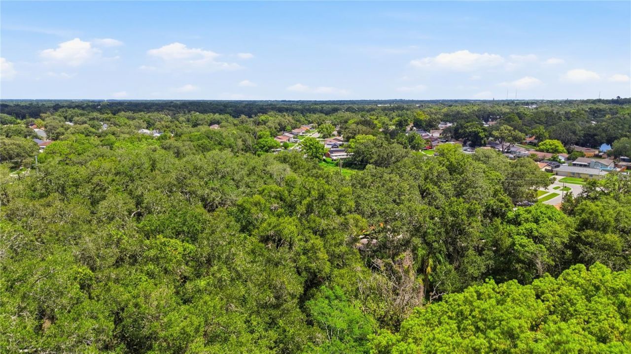 11211 Clay Pit Road , Seffner, FL 33584 Photo