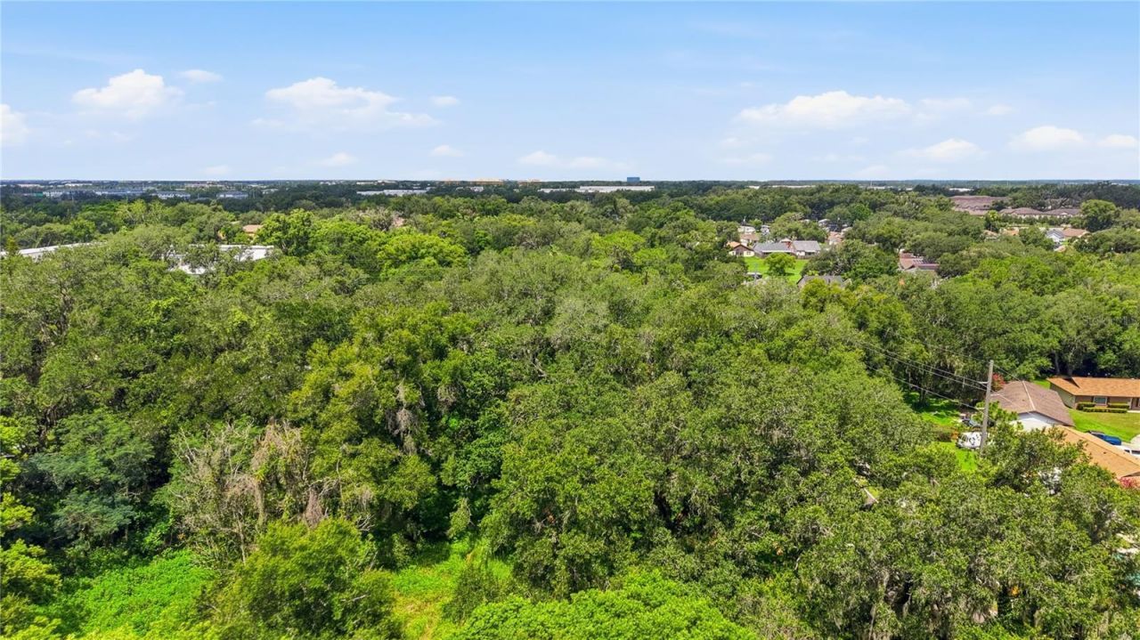 11211 Clay Pit Road , Seffner, FL 33584 Photo