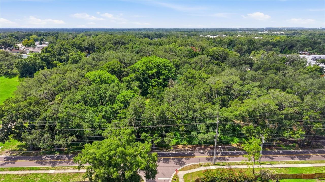 11211 Clay Pit Road , Seffner, FL 33584 Photo