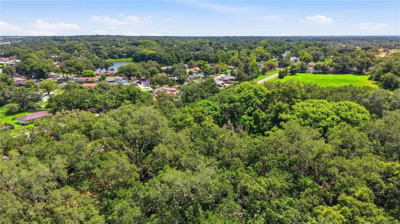 11211 Clay Pit Road , Seffner, FL 33584 Photo