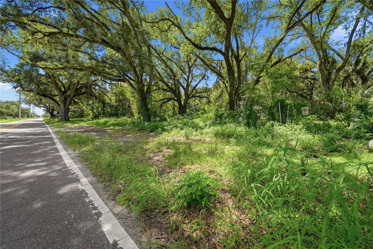 11211 Clay Pit Road , Seffner, FL 33584 Photo