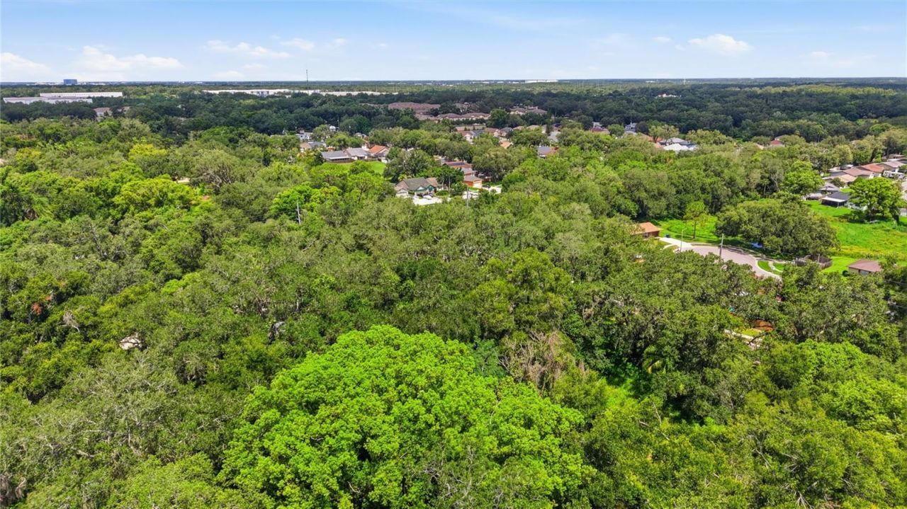 11211 Clay Pit Road , Seffner, FL 33584 Photo