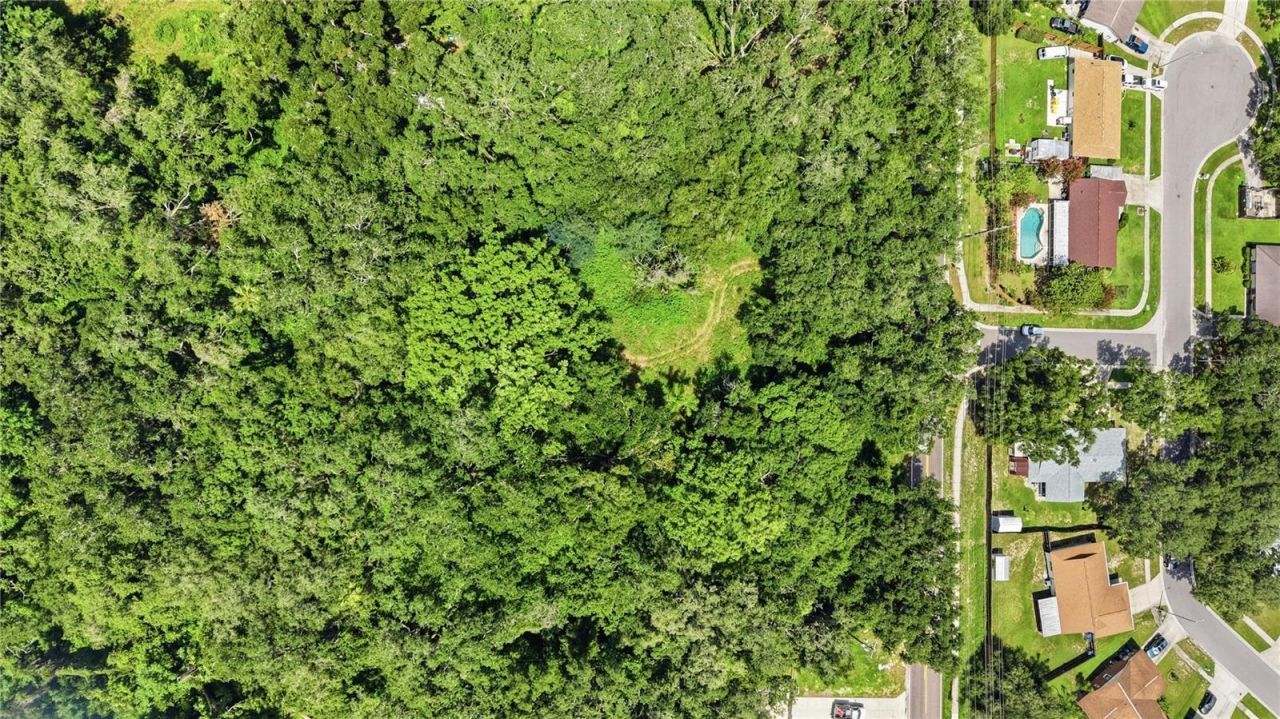11211 Clay Pit Road , Seffner, FL 33584 Photo