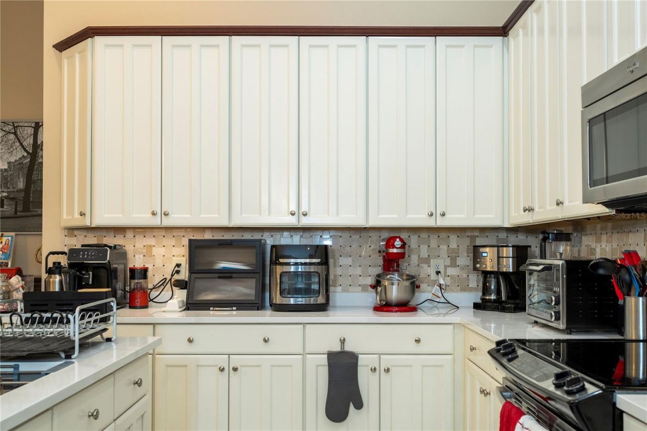 10301 Oakview Pointe Terrace , Gotha, FL 34734 Photo