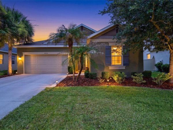 27035 CAROLINA ASTER DRIVE , WESLEY CHAPEL, FL 33544