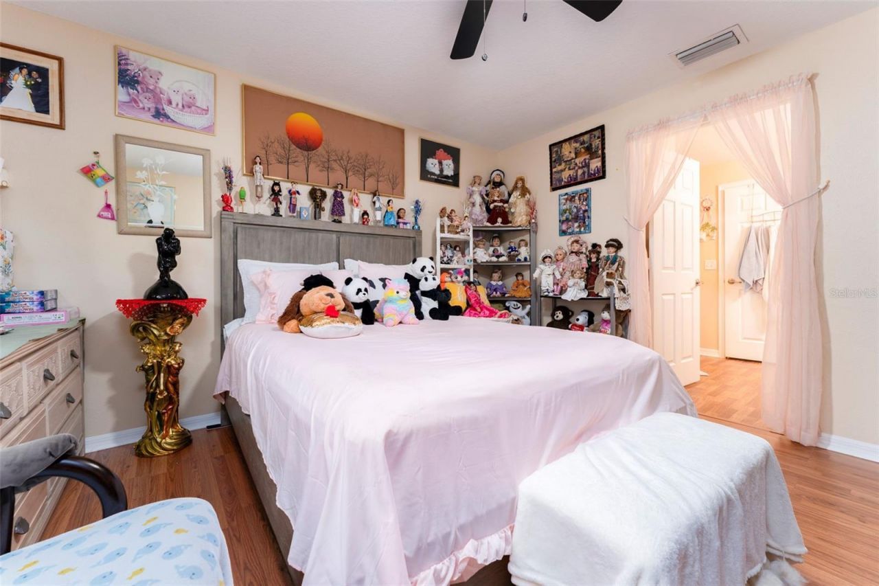 1128 Shared Passion St, Ruskin, FL 33570 Photo