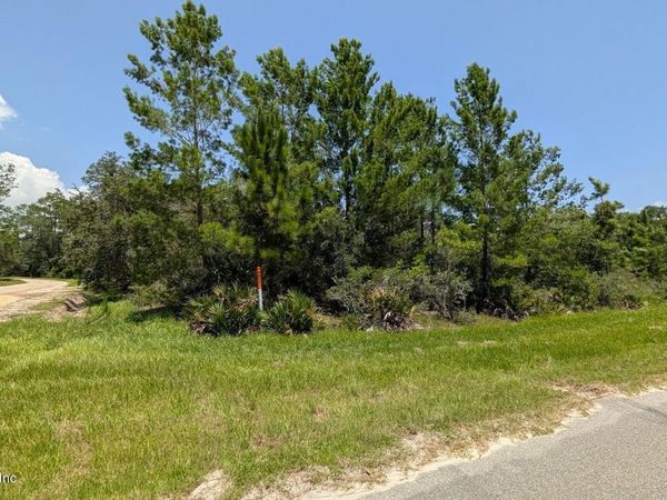 201 WHISPERING PINES Road, Georgetown, FL 32139