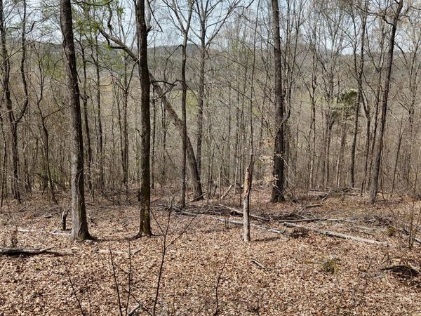 0 Geren Subdivision Lane, Decatur, TN 37322