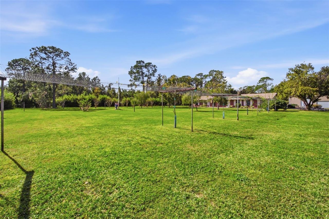 9240 Moore Road, Lakeland, FL 33809 Photo