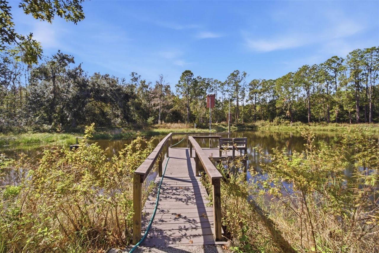 9240 Moore Road, Lakeland, FL 33809 Photo