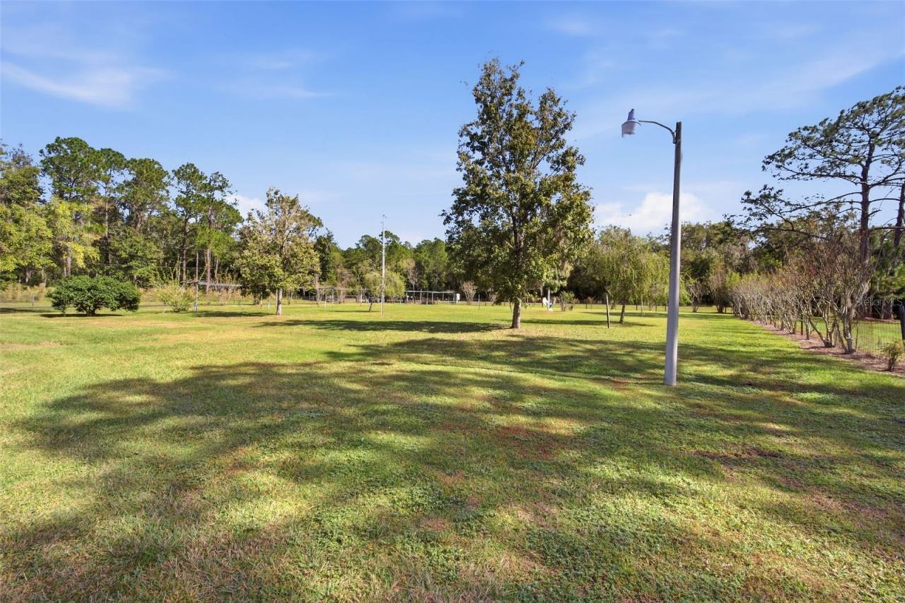 9240 Moore Road, Lakeland, FL 33809 Photo