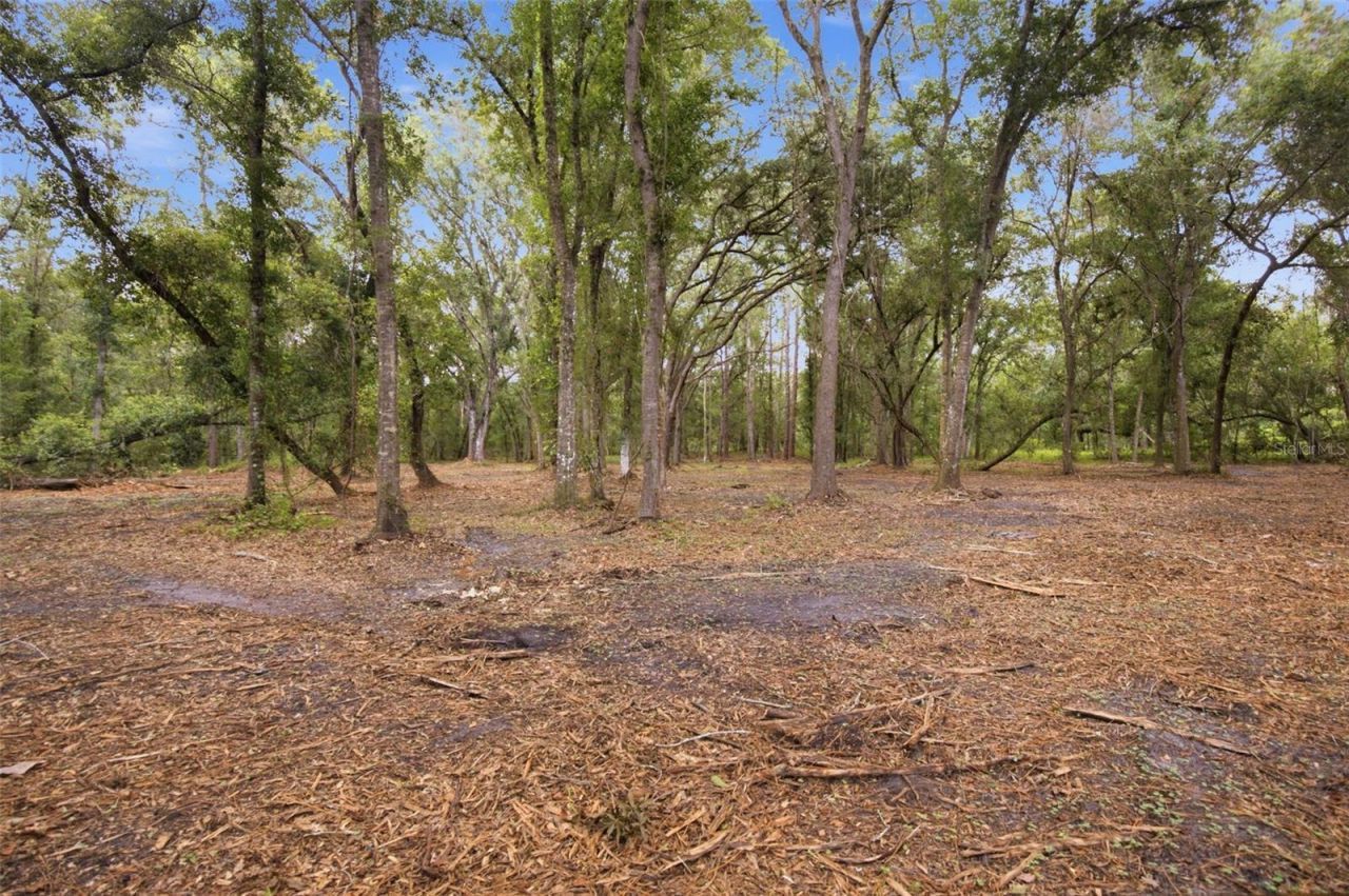 0 Old Dade City Road, Kathleen, FL 33849 Photo