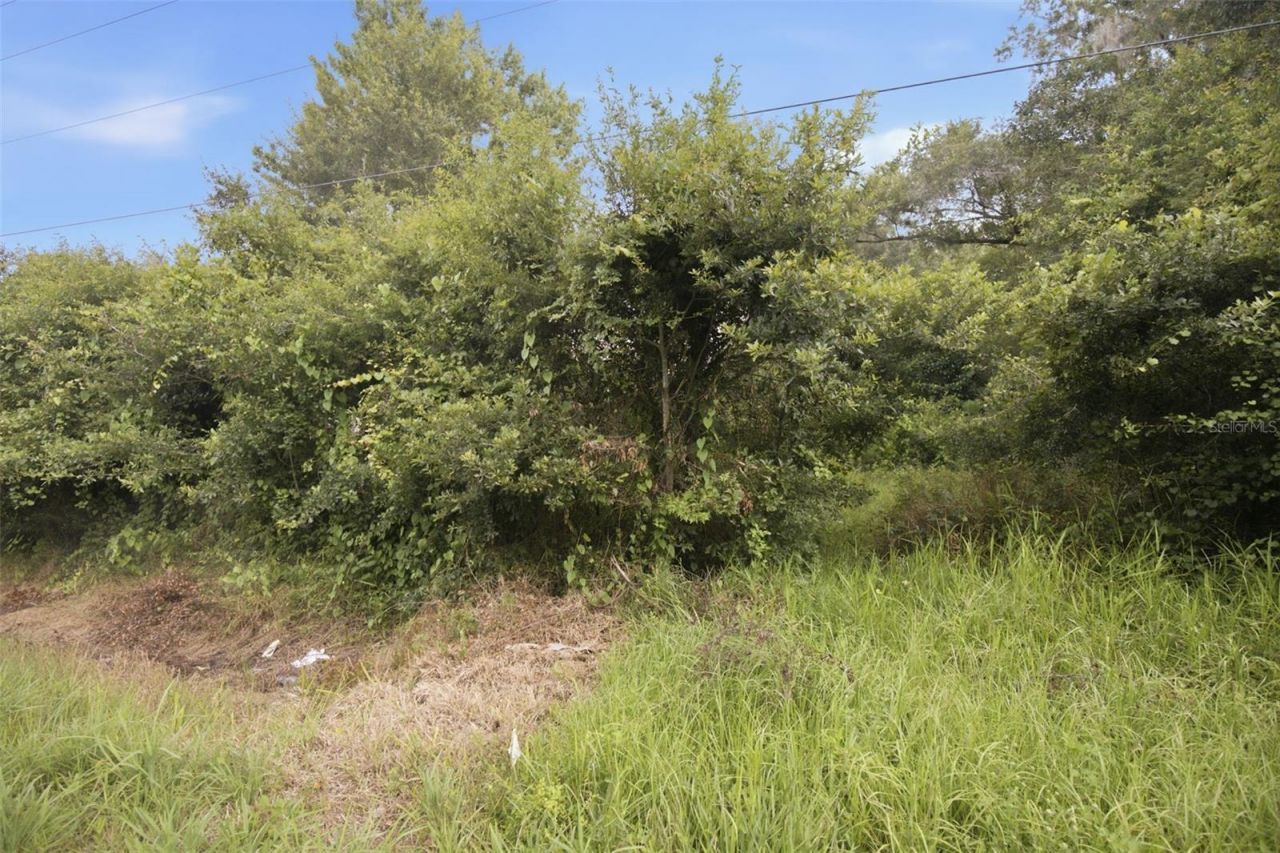0 Old Dade City Road, Kathleen, FL 33849 Photo