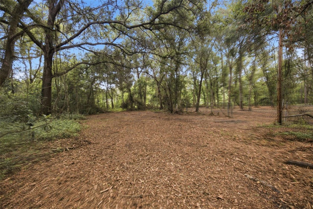 0 Old Dade City Road, Kathleen, FL 33849 Photo