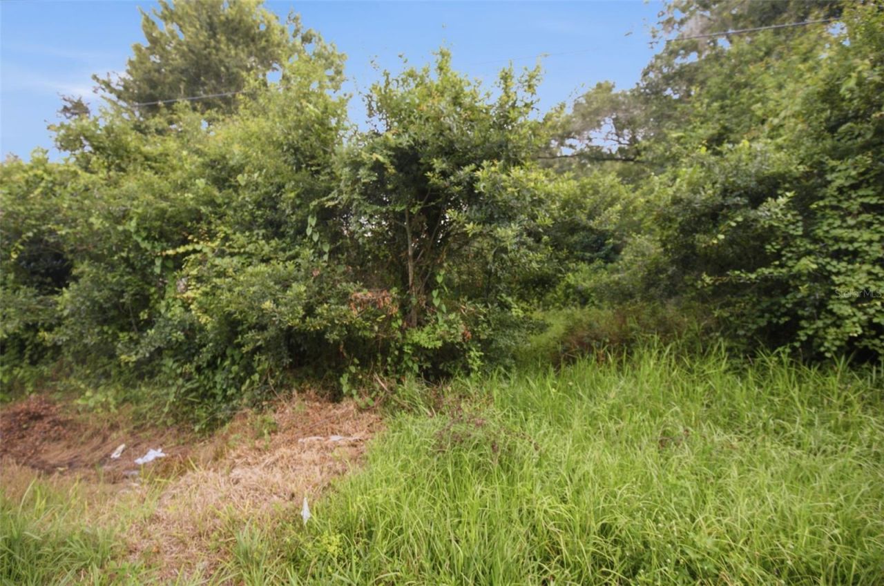 0 Old Dade City Road, Kathleen, FL 33849 Photo
