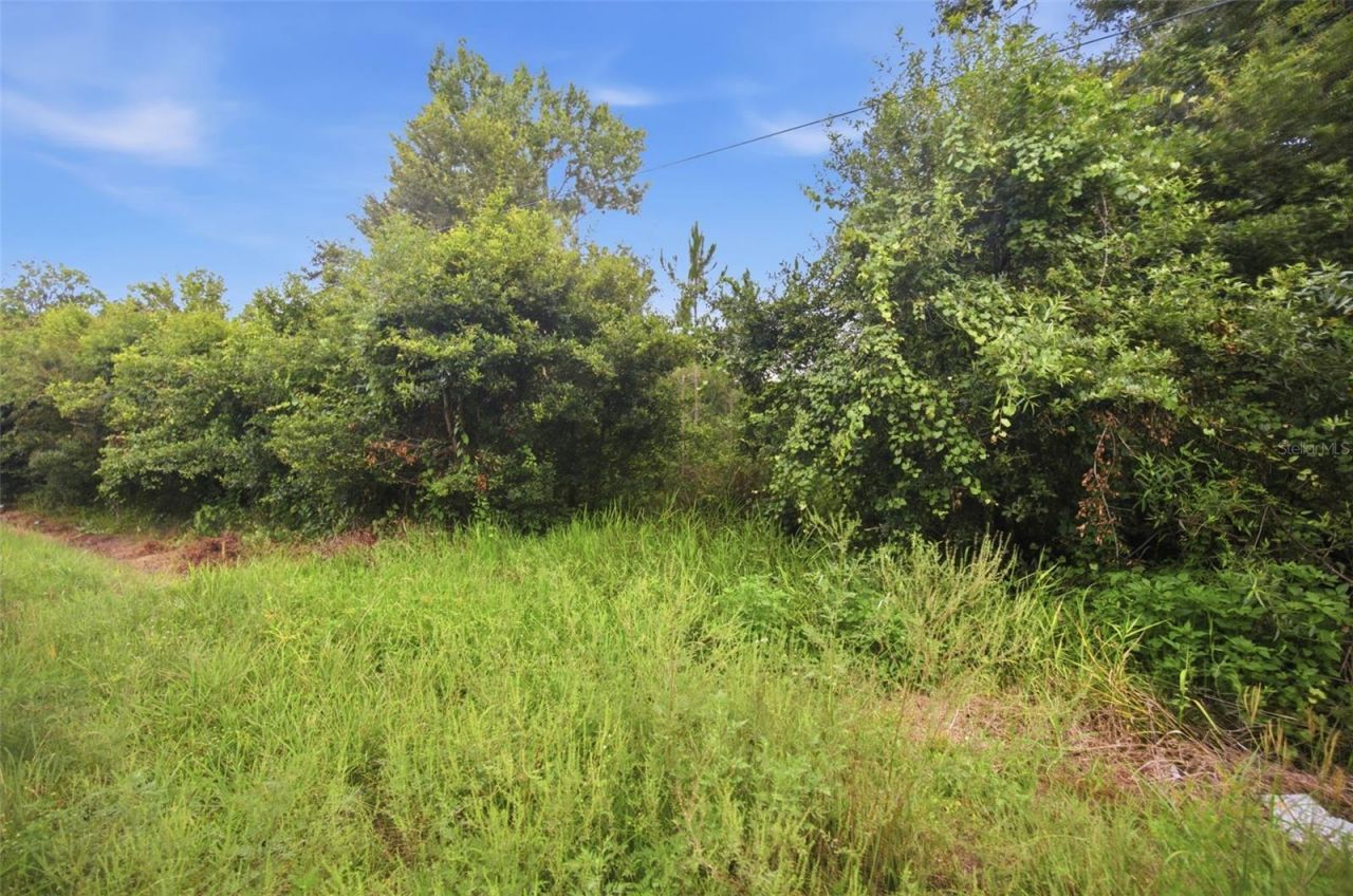 0 Old Dade City Road, Kathleen, FL 33849 Photo