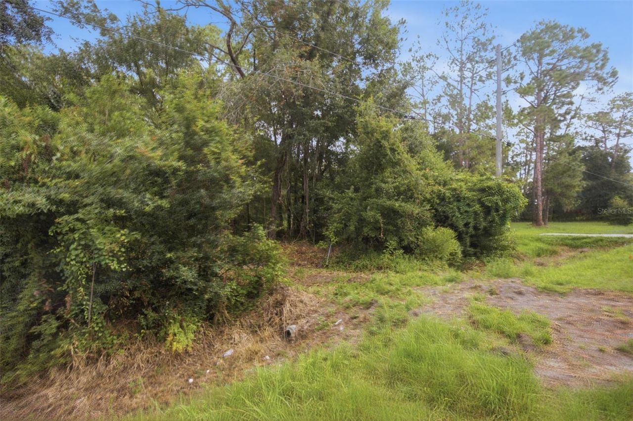 0 Old Dade City Road, Kathleen, FL 33849 Photo