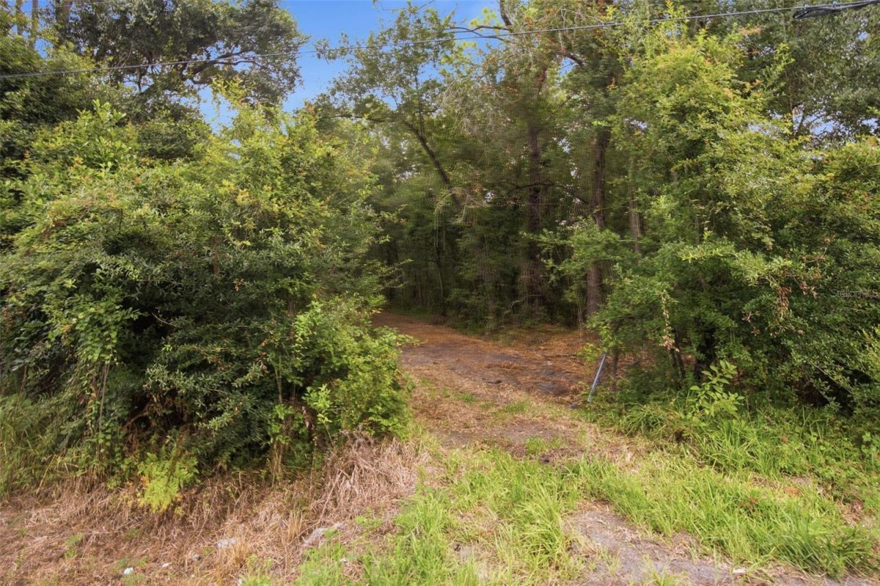 0 Old Dade City Road, Kathleen, FL 33849 Photo