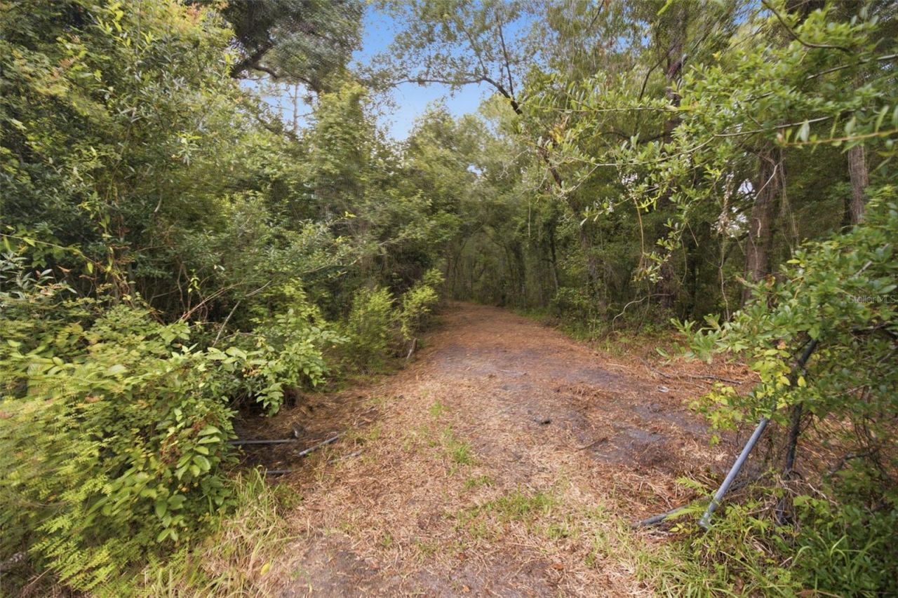 0 Old Dade City Road, Kathleen, FL 33849 Photo