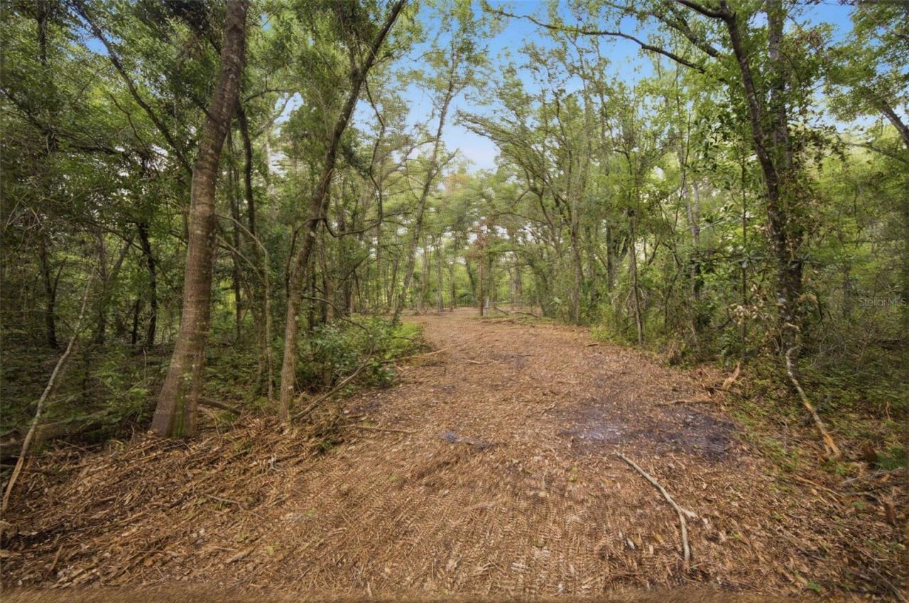 0 Old Dade City Road, Kathleen, FL 33849 Photo