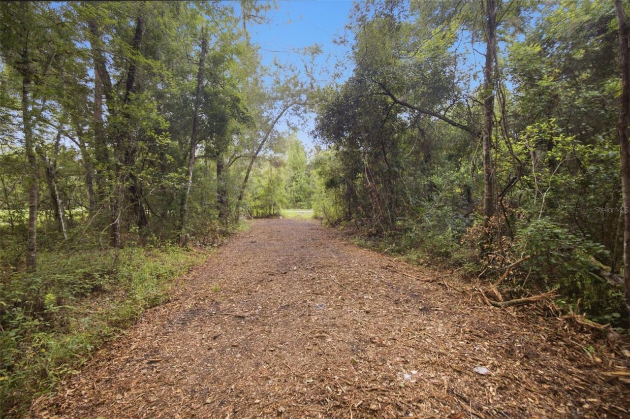 0 Old Dade City Road, Kathleen, FL 33849 Photo
