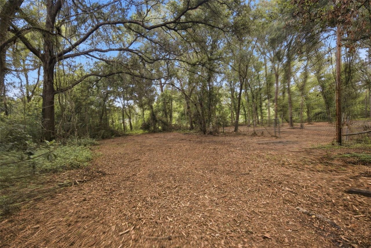 0 Old Dade City Road, Kathleen, FL 33849 Photo