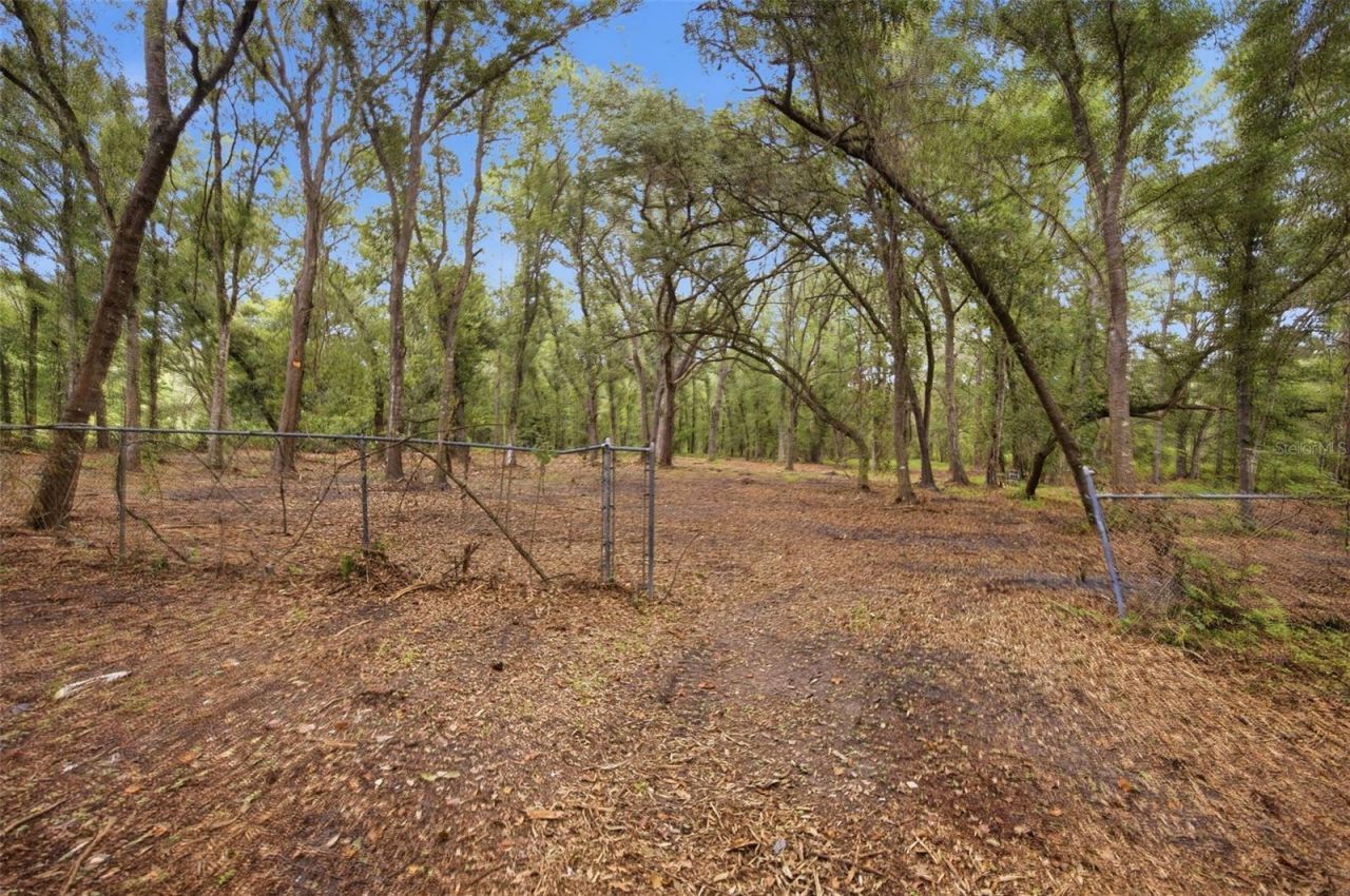 0 Old Dade City Road, Kathleen, FL 33849 Photo