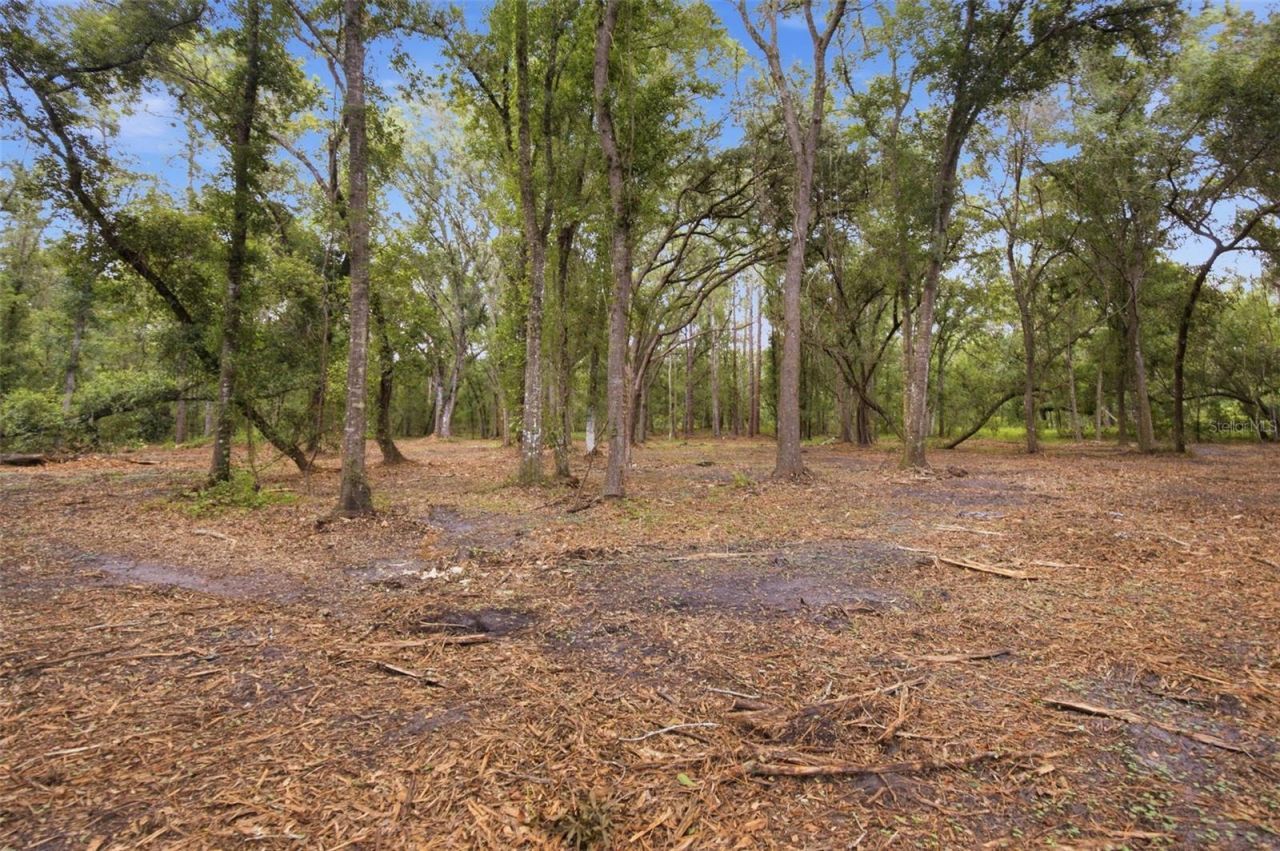 0 Old Dade City Road, Kathleen, FL 33849 Photo