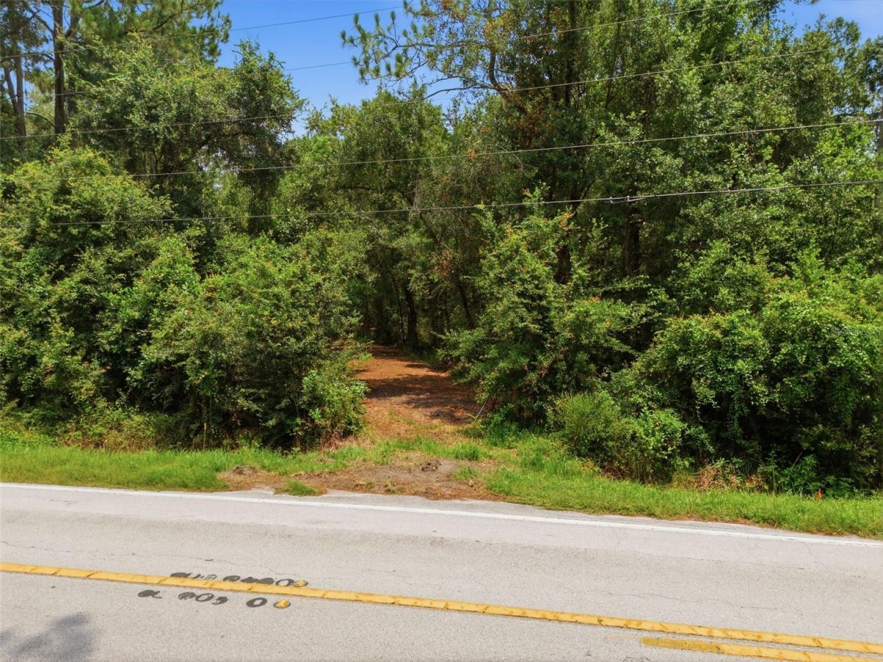 0 Old Dade City Road, Kathleen, FL 33849 Photo