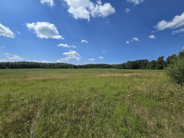 Leckrone Road, Brethren, MI 49619