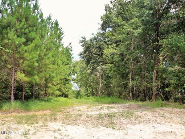 66+/-ac Little Cedar Road, Lucedale, MS 39452