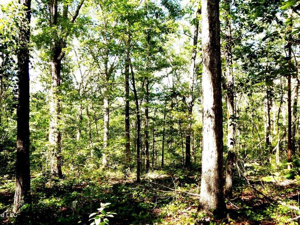 330 County Road 245 , Abbeville, MS 38601