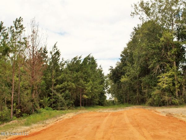 14+/-ac Little Cedar Road, Lucedale, MS 39452