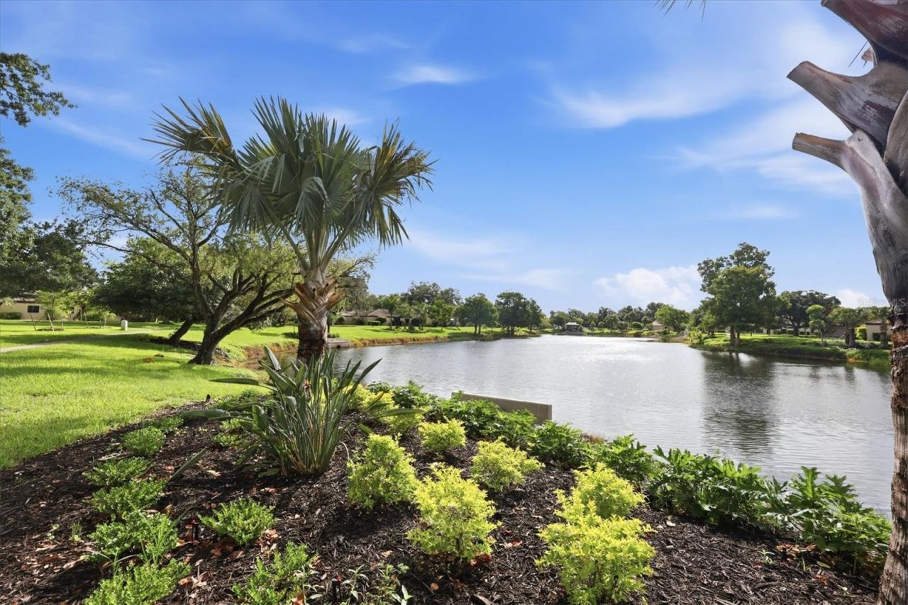 3615 Glen Oaks Manor Drive , Sarasota, FL 34232 Photo